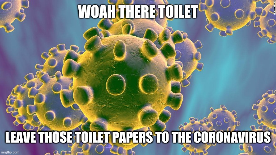 Coronavirus | WOAH THERE TOILET LEAVE THOSE TOILET PAPERS TO THE CORONAVIRUS | image tagged in coronavirus | made w/ Imgflip meme maker