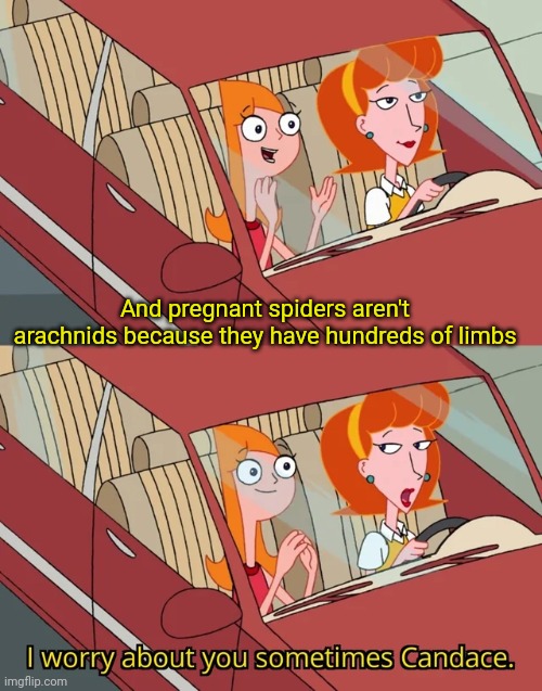 I worry about you sometimes Candace | And pregnant spiders aren't arachnids because they have hundreds of limbs | image tagged in i worry about you sometimes candace | made w/ Imgflip meme maker