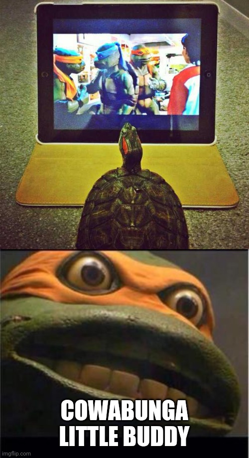 HIS FAVORITE MOVIE | COWABUNGA
LITTLE BUDDY | image tagged in teen age mutant ninja turtle,memes,tmnt,turtles | made w/ Imgflip meme maker