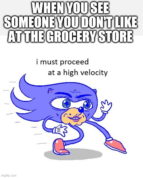 WHEN YOU SEE SOMEONE YOU DON'T LIKE AT THE GROCERY STORE | image tagged in i must proceed at a high velocity,grocery store,meme | made w/ Imgflip meme maker