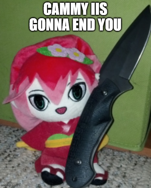 Knife Camellia | CAMMY IIS GONNA END YOU | image tagged in knife camellia | made w/ Imgflip meme maker