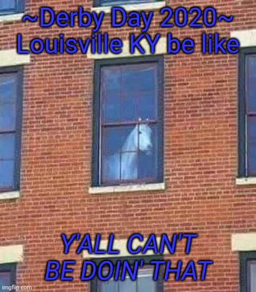 Derby Day 2020 | ~Derby Day 2020~
Louisville KY be like; Y'ALL CAN'T BE DOIN' THAT | image tagged in derby kentucky horse social distancing corona virus louisville horse social distancing | made w/ Imgflip meme maker