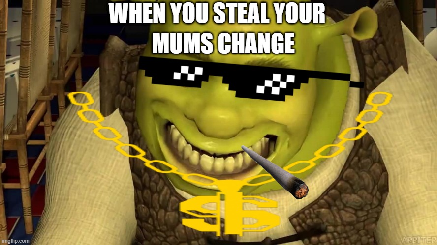 Very Nice Shrek!! | WHEN YOU STEAL YOUR; MUMS CHANGE | image tagged in shrek,cool,thug life,funny,memes,funny memes | made w/ Imgflip meme maker
