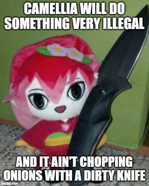 Knife Camellia | CAMELLIA WILL DO SOMETHING VERY ILLEGAL AND IT AIN'T CHOPPING ONIONS WITH A DIRTY KNIFE | image tagged in knife camellia | made w/ Imgflip meme maker