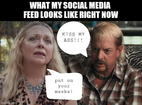Mask or No Mask | WHAT MY SOCIAL MEDIA 
FEED LOOKS LIKE RIGHT NOW | image tagged in carol baskin,tiger king,social distancing,facebook,argument,face mask | made w/ Imgflip meme maker