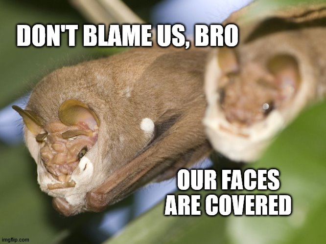 Don't Blame Us Bats, Bro | DON'T BLAME US, BRO; OUR FACES ARE COVERED | image tagged in blame,memes,covid-19,coronavirus,bats,face mask | made w/ Imgflip meme maker