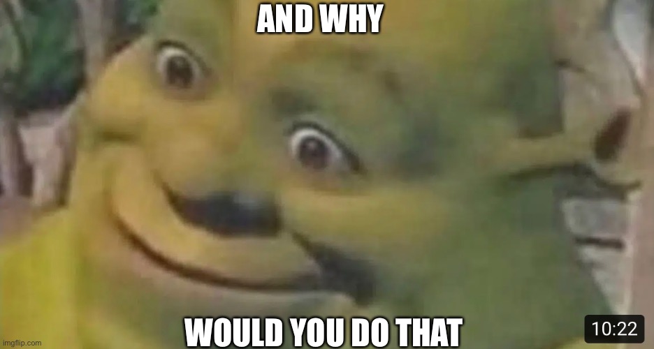 AND WHY; WOULD YOU DO THAT | image tagged in shrek | made w/ Imgflip meme maker