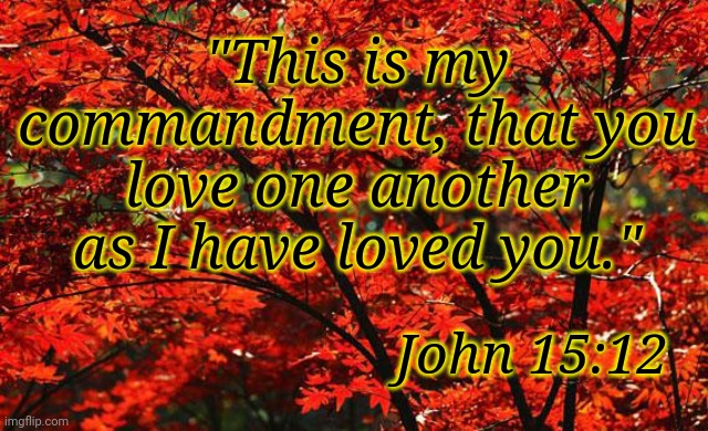 John 15:12 | "This is my commandment, that you love one another as I have loved you."; John 15:12 | image tagged in bible | made w/ Imgflip meme maker