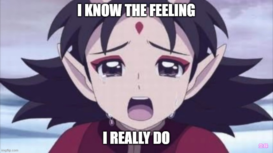 Awoken Natsume Crying | I KNOW THE FEELING I REALLY DO | image tagged in awoken natsume crying | made w/ Imgflip meme maker