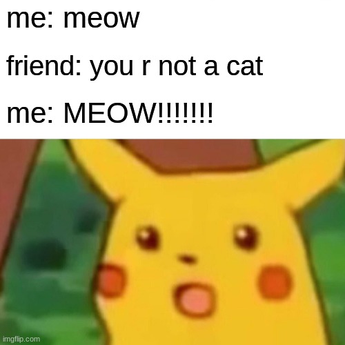 Surprised Pikachu | me: meow; friend: you r not a cat; me: MEOW!!!!!!! | image tagged in memes,surprised pikachu | made w/ Imgflip meme maker