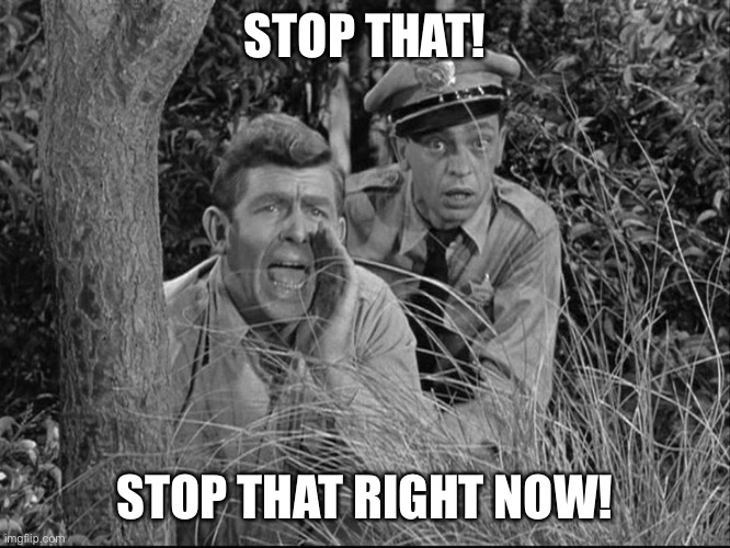 Andy griffith yelling | STOP THAT! STOP THAT RIGHT NOW! | image tagged in andy griffith yelling | made w/ Imgflip meme maker