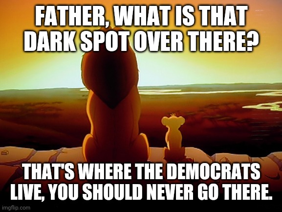FATHER, WHAT IS THAT DARK SPOT OVER THERE? THAT'S WHERE THE DEMOCRATS LIVE, YOU SHOULD NEVER GO THERE. | image tagged in memes,lion king | made w/ Imgflip meme maker