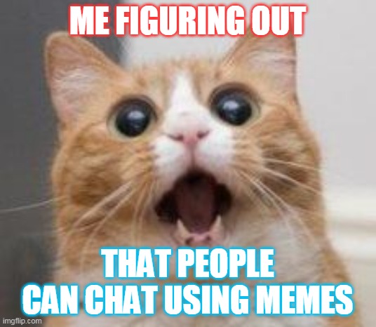 Wow | ME FIGURING OUT; THAT PEOPLE CAN CHAT USING MEMES | image tagged in wow | made w/ Imgflip meme maker