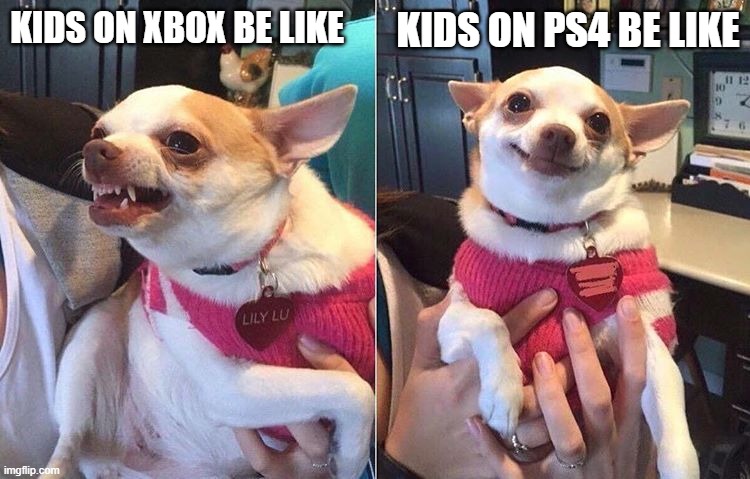 kids on consoles be like | KIDS ON PS4 BE LIKE; KIDS ON XBOX BE LIKE | image tagged in angry dog meme | made w/ Imgflip meme maker
