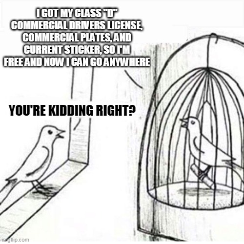 Bird in cage licensed | I GOT MY CLASS "D" COMMERCIAL DRIVERS LICENSE, COMMERCIAL PLATES, AND CURRENT STICKER, SO I'M FREE AND NOW I CAN GO ANYWHERE; YOU'RE KIDDING RIGHT? | image tagged in bird in a cage,drivers license,free | made w/ Imgflip meme maker
