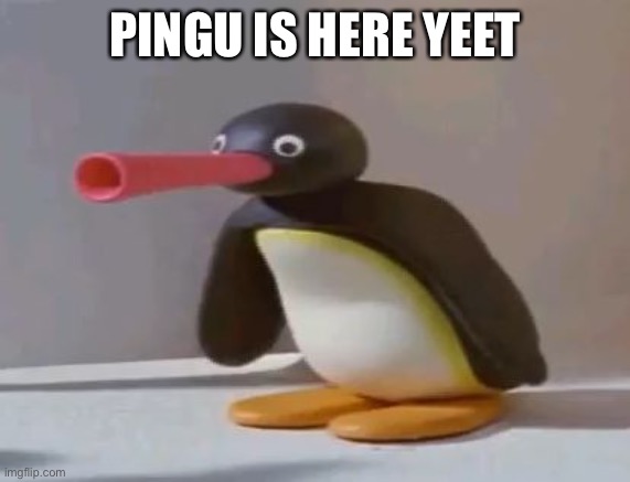 pingu | PINGU IS HERE YEET | image tagged in pingu | made w/ Imgflip meme maker