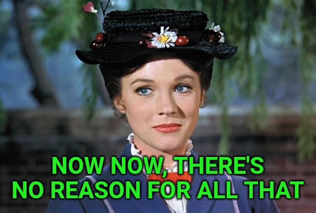 Mary Poppins | NOW NOW, THERE'S NO REASON FOR ALL THAT | image tagged in mary poppins | made w/ Imgflip meme maker