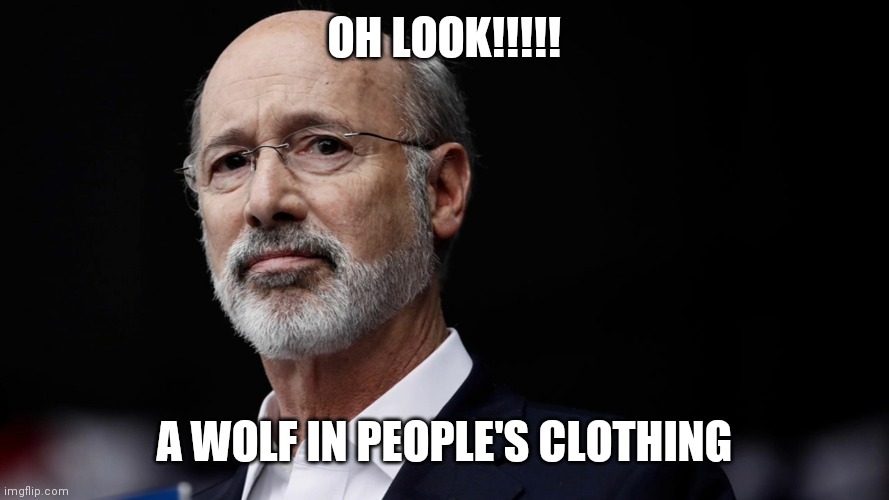 OH LOOK!!!!! A WOLF IN PEOPLE'S CLOTHING | image tagged in fun | made w/ Imgflip meme maker