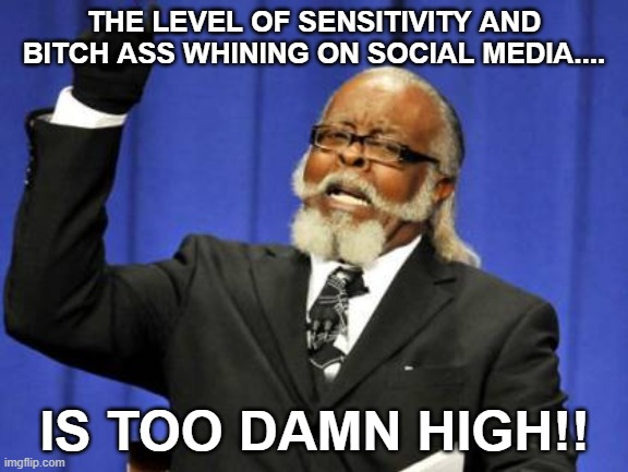 Too Damn High | THE LEVEL OF SENSITIVITY AND BITCH ASS WHINING ON SOCIAL MEDIA.... IS TOO DAMN HIGH!! | image tagged in memes,too damn high | made w/ Imgflip meme maker