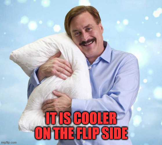 My Pillow Guy | IT IS COOLER ON THE FLIP SIDE | image tagged in my pillow guy | made w/ Imgflip meme maker