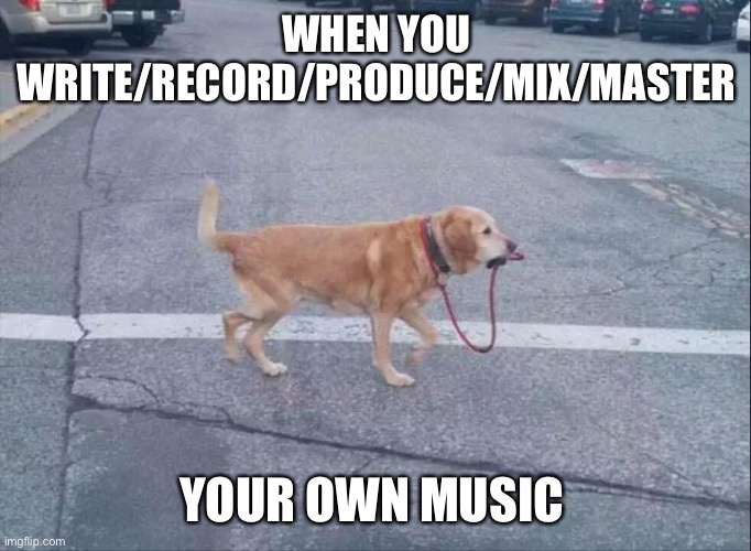 dog walking himself | WHEN YOU WRITE/RECORD/PRODUCE/MIX/MASTER; YOUR OWN MUSIC | image tagged in dog walking himself | made w/ Imgflip meme maker