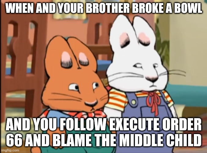 Lol | WHEN AND YOUR BROTHER BROKE A BOWL; AND YOU FOLLOW EXECUTE ORDER 66 AND BLAME THE MIDDLE CHILD | image tagged in you thinkin what ima thinkin | made w/ Imgflip meme maker
