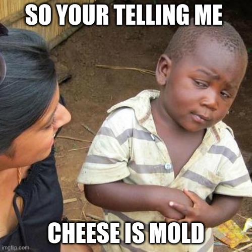Third World Skeptical Kid | SO YOUR TELLING ME; CHEESE IS MOLD | image tagged in memes,third world skeptical kid,cheese | made w/ Imgflip meme maker