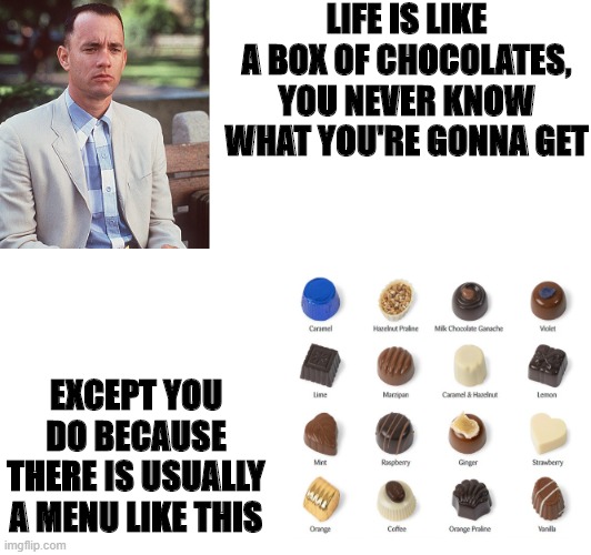 Life is Like a Box of Chocolates | LIFE IS LIKE A BOX OF CHOCOLATES, YOU NEVER KNOW WHAT YOU'RE GONNA GET; EXCEPT YOU DO BECAUSE THERE IS USUALLY A MENU LIKE THIS | image tagged in forrest gump,chocolate | made w/ Imgflip meme maker