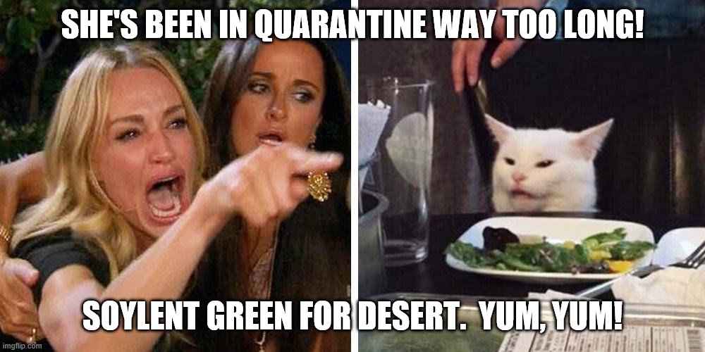 Name that picture. | SHE'S BEEN IN QUARANTINE WAY TOO LONG! SOYLENT GREEN FOR DESERT.  YUM, YUM! | image tagged in smudge the cat | made w/ Imgflip meme maker