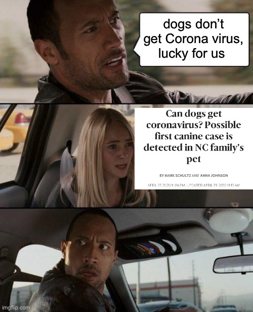 The Rock Driving Meme | dogs don’t get Corona virus, lucky for us | image tagged in memes,the rock driving | made w/ Imgflip meme maker