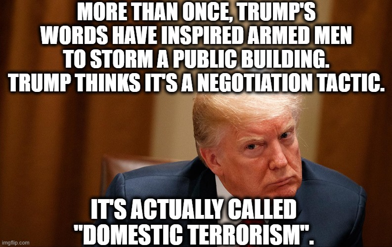 Trump is an idiot. Anyone who listens to him is an idiot. | MORE THAN ONCE, TRUMP'S WORDS HAVE INSPIRED ARMED MEN TO STORM A PUBLIC BUILDING. TRUMP THINKS IT'S A NEGOTIATION TACTIC. IT'S ACTUALLY CALLED "DOMESTIC TERRORISM". | image tagged in donald trump,terrorism,domestic terrorism,rednecks,stupid,violence | made w/ Imgflip meme maker