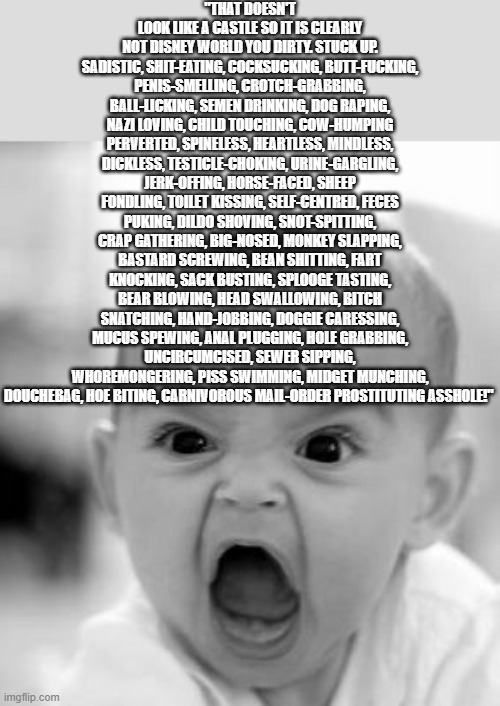 Angry Baby Meme | "THAT DOESN'T LOOK LIKE A CASTLE SO IT IS CLEARLY NOT DISNEY WORLD YOU DIRTY. STUCK UP. SADISTIC, SHIT-EATING, COCKSUCKING, BUTT-F**KING, P* | image tagged in memes,angry baby | made w/ Imgflip meme maker