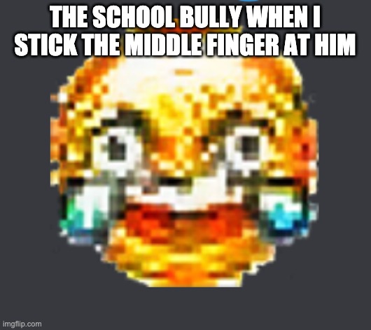 THE SCHOOL BULLY WHEN I STICK THE MIDDLE FINGER AT HIM | image tagged in school,bully,middle finger | made w/ Imgflip meme maker