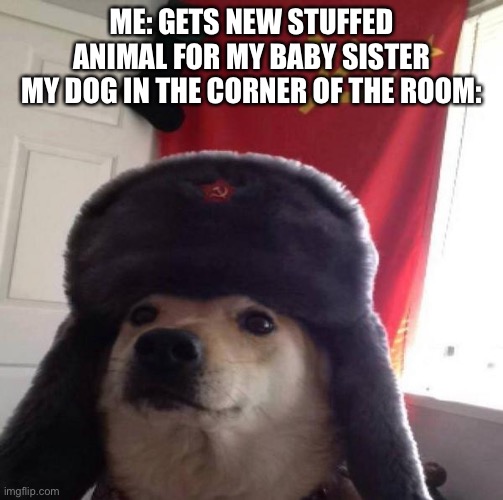 Russian Doge | ME: GETS NEW STUFFED ANIMAL FOR MY BABY SISTER
MY DOG IN THE CORNER OF THE ROOM: | image tagged in russian doge | made w/ Imgflip meme maker