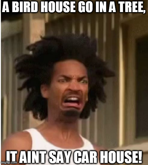 A BIRD HOUSE GO IN A TREE, IT AINT SAY CAR HOUSE! | made w/ Imgflip meme maker