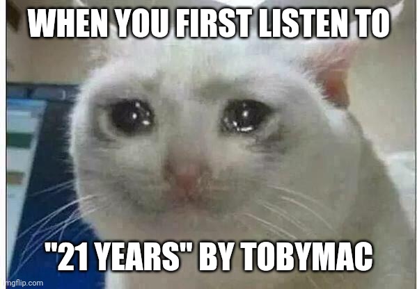 crying cat | WHEN YOU FIRST LISTEN TO; "21 YEARS" BY TOBYMAC | image tagged in crying cat | made w/ Imgflip meme maker