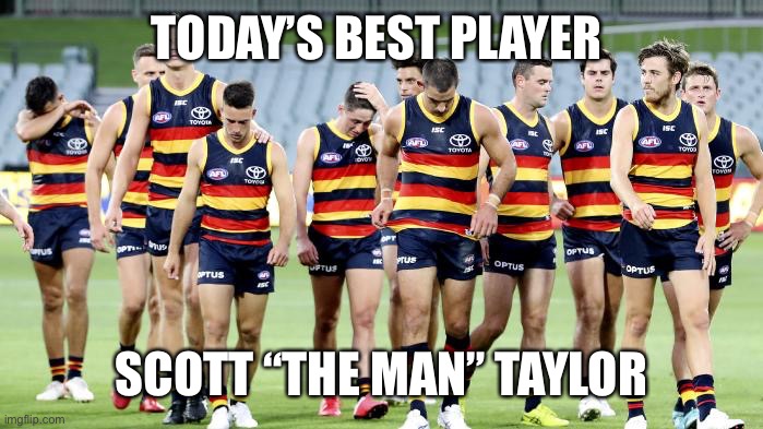 Taylor | TODAY’S BEST PLAYER; SCOTT “THE MAN” TAYLOR | image tagged in taylor | made w/ Imgflip meme maker