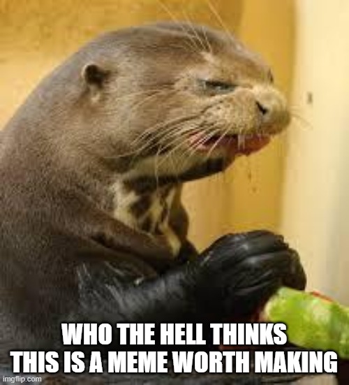 Disgusted Otter | WHO THE HELL THINKS THIS IS A MEME WORTH MAKING | image tagged in disgusted otter | made w/ Imgflip meme maker