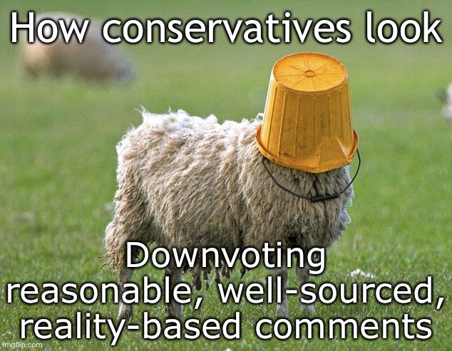 It’s annoying when you can’t find your comment, but other than that, this only makes them look stupid and fragile | How conservatives look; Downvoting reasonable, well-sourced, reality-based comments | image tagged in stupid sheep,conservatives,imgflip users,imgflip trolls,meme comments,comment section | made w/ Imgflip meme maker