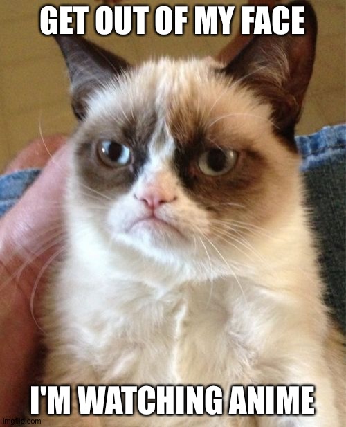 Grumpy Cat | GET OUT OF MY FACE; I'M WATCHING ANIME | image tagged in memes,grumpy cat | made w/ Imgflip meme maker