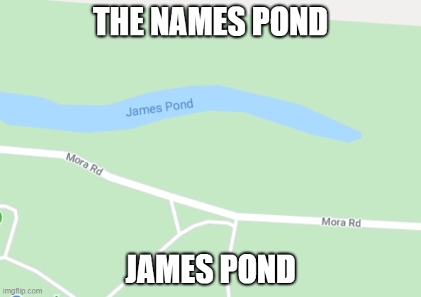 THE NAMES POND; JAMES POND | image tagged in james bond | made w/ Imgflip meme maker