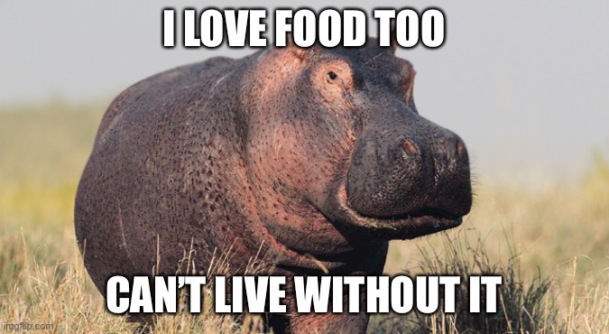 Hippo | I LOVE FOOD TOO CAN’T LIVE WITHOUT IT | image tagged in hippo | made w/ Imgflip meme maker