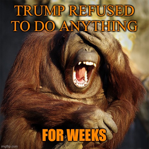 TRUMP REFUSED TO DO ANYTHING FOR WEEKS | made w/ Imgflip meme maker