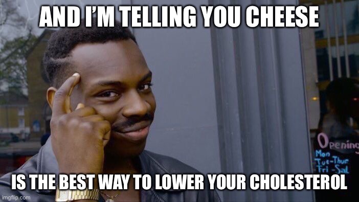 Roll Safe Think About It Meme | AND I’M TELLING YOU CHEESE IS THE BEST WAY TO LOWER YOUR CHOLESTEROL | image tagged in memes,roll safe think about it | made w/ Imgflip meme maker