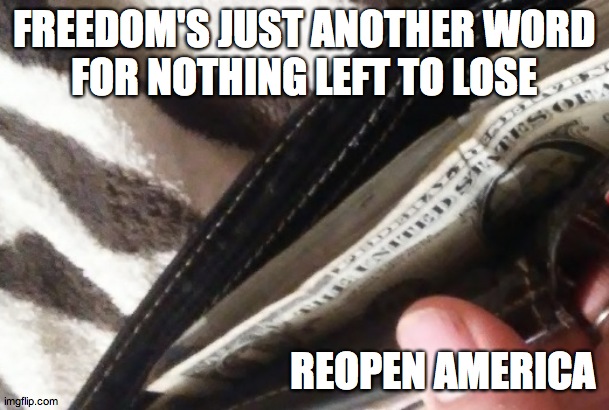 last buck | FREEDOM'S JUST ANOTHER WORD
FOR NOTHING LEFT TO LOSE; REOPEN AMERICA | image tagged in last buck | made w/ Imgflip meme maker