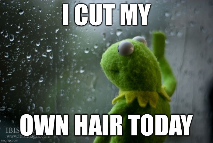kermit window | I CUT MY; OWN HAIR TODAY | image tagged in kermit window | made w/ Imgflip meme maker