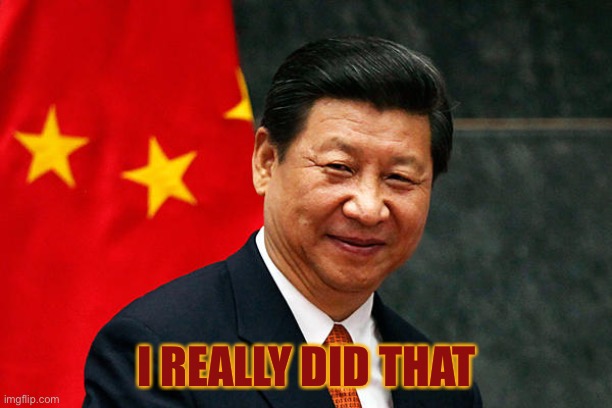 Xi Jinping | I REALLY DID THAT | image tagged in xi jinping | made w/ Imgflip meme maker