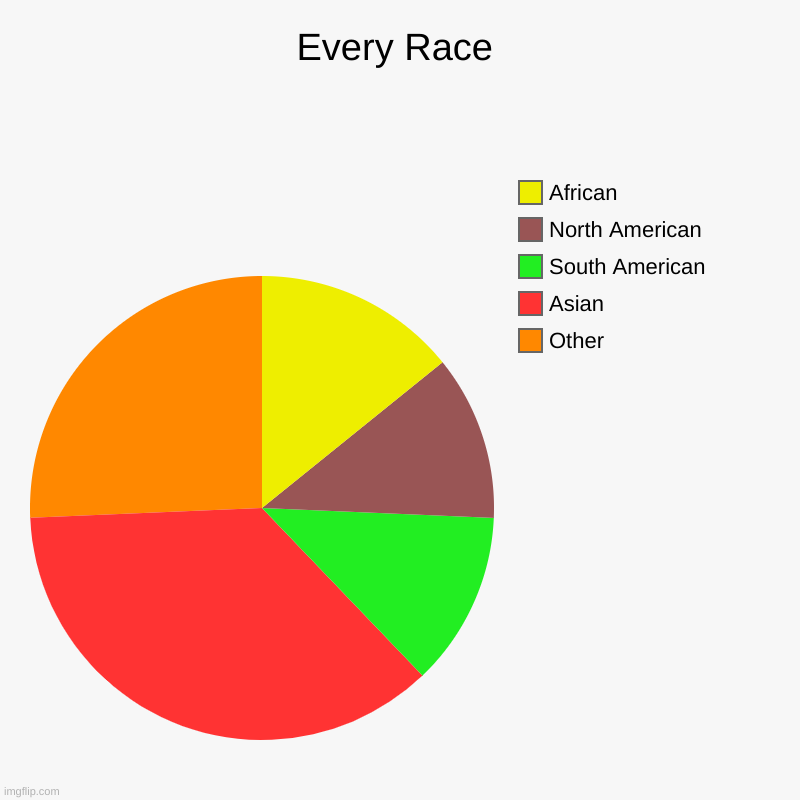 Race | Every Race | Other, Asian, South American, North American, African | image tagged in charts,pie charts | made w/ Imgflip chart maker
