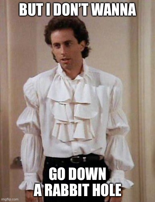 Puffy Shirt Jerry | BUT I DON’T WANNA GO DOWN A RABBIT HOLE | image tagged in puffy shirt jerry | made w/ Imgflip meme maker