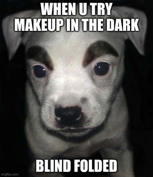 Dark Makeup | WHEN U TRY MAKEUP IN THE DARK; BLIND FOLDED | image tagged in funny | made w/ Imgflip meme maker